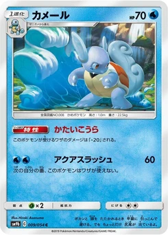 Pokémon-Karte Wartortle 009/000