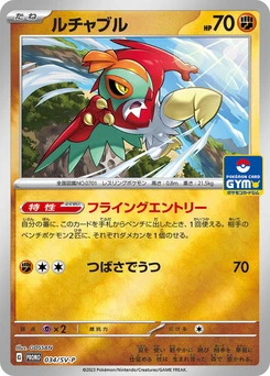 Pokémon-Karte Hawlucha 034/000