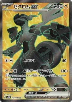 Pokémon-Karte Zekrom ex 161/174