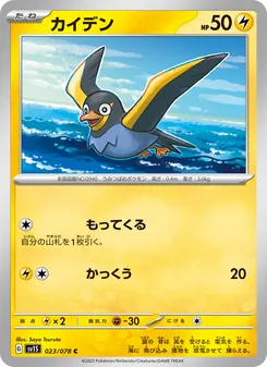 Pokémon-Karte Wattrel 023/078
