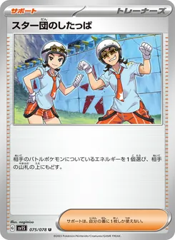 Pokémon-Karte Team Star Grunt 075/078