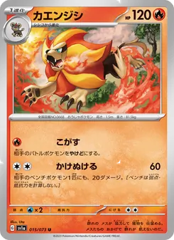 Pokémon-Karte Pyroar 015/073