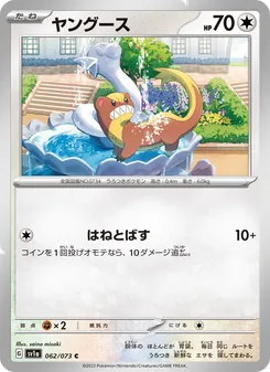 Pokémon-Karte Yungoos 062/073