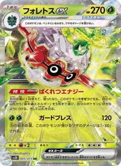 Pokémon-Karte Forretress ex 005/071