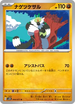 Pokémon-Karte Passimian 044/071