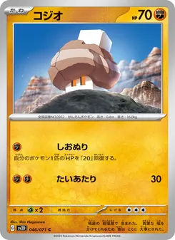Pokémon-Karte Nacli 046/071