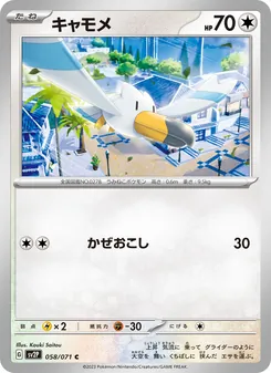 Pokémon-Karte Wingull 058/071