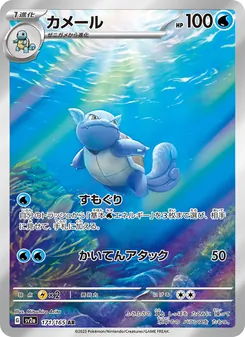 Pokémon-Karte Wartortle 171/165