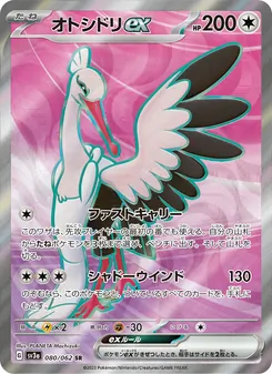 Pokémon-Karte Bombirdier ex 080/062