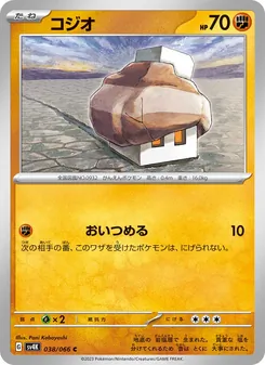 Pokémon-Karte Nacli 038/066