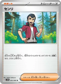 Pokémon-Karte Norman 065/066