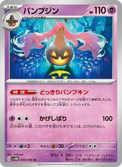 Pokémon-Karte Gourgeist 030/066
