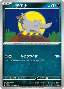 Pokémon-Karte Poochyena 048/000