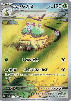 Pokémon-Karte Grotle 072/000
