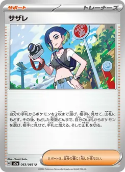 Pokémon-Karte Perrin 063/066