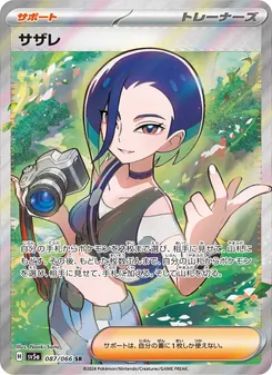 Pokémon-Karte Perrin 087/066