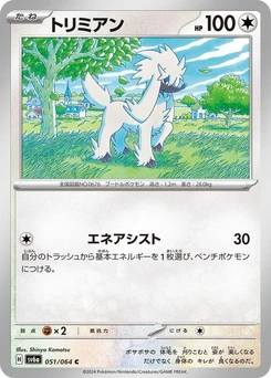 Pokémon-Karte Furfrou 051/000
