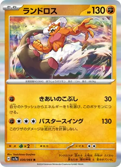 Pokémon-Karte Landorus 030/064