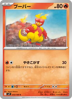 Pokémon-Karte Magmar 013/100