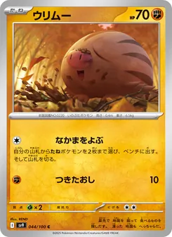 Pokémon-Karte Swinub 044/100