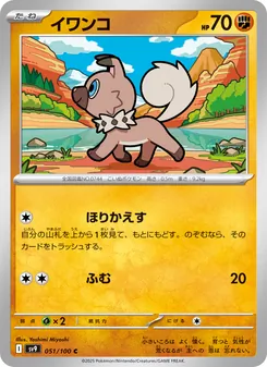 Pokémon-Karte Rockruff 051/100