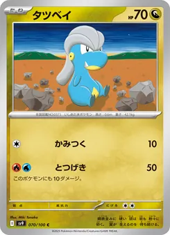 Pokémon-Karte Bagon 070/100