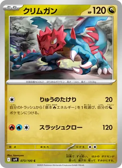 Pokémon-Karte Druddigon 073/100