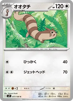 Pokémon-Karte Furret 077/100