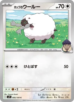 Pokémon-Karte Hop's Wooloo 085/100