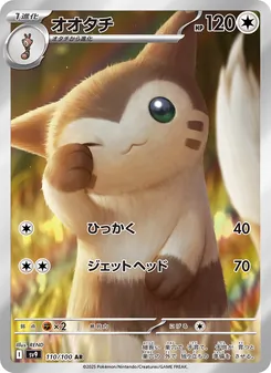 Pokémon-Karte Furret 110/100