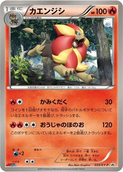 Pokémon-Karte Pyroar 033/000
