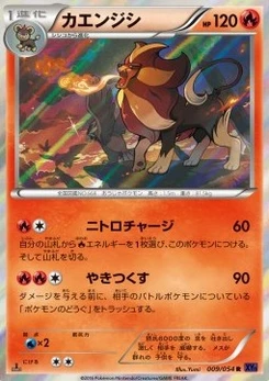 Pokémon-Karte Pyroar 009/000