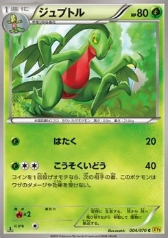 Pokémon-Karte Grovyle 004/000
