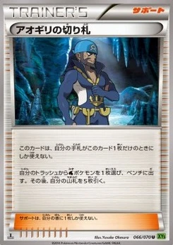Pokémon-Karte Archie's Ace in the Hole 066/000