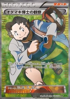 Pokémon-Karte Professor Birch's Observations 078/000