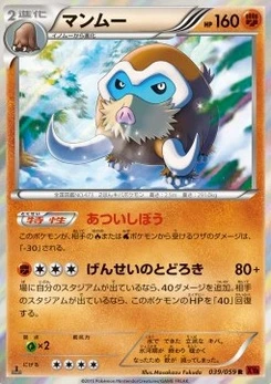 Pokémon-Karte Mamoswine 039/000