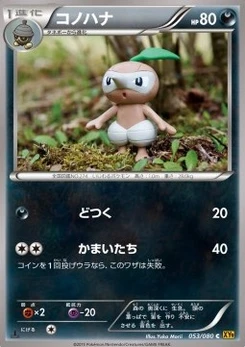 Pokémon-Karte Nuzleaf 053/000