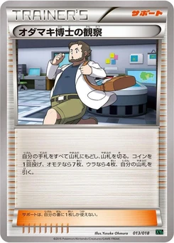 Pokémon-Karte Professor Birch's Observations 013/000