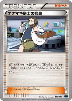 Pokémon-Karte Professor Birch's Observations 013/000