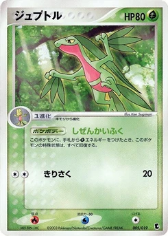 Pokémon-Karte Grovyle 005/000