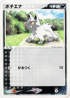 Pokémon-Karte Poochyena 010/000