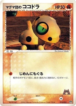Pokémon-Karte Team Magma's Aron 010/000