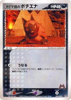 Pokémon-Karte Team Magma's Poochyena 020/000