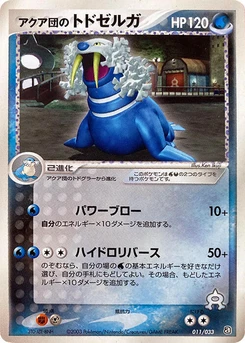 Pokémon-Karte Team Aqua's Walrein 011/000