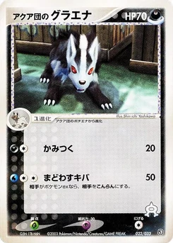 Pokémon-Karte Team Aqua's Mightyena 022/000