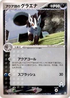 Pokémon-Karte Team Aqua's Mightyena 023/000