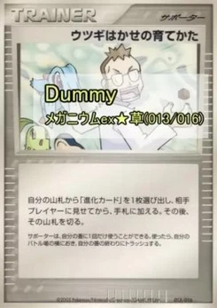 Pokémon-Karte Professor Elm's Training Method 013/000