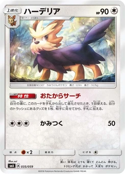Pokémon-Karte Herdier 035/000