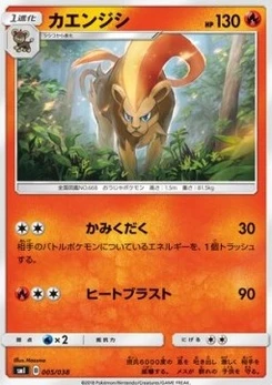 Pokémon-Karte Pyroar 005/000