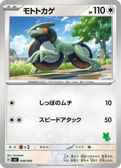 Pokémon-Karte Cyclizar 048/000
